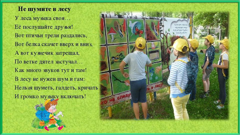 Презентация по экологическому воспитанию "Тропою юного туриста"