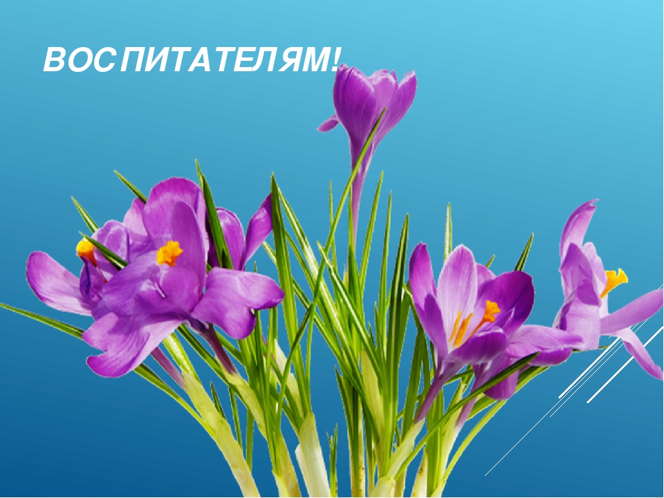 Презентация фестиваля "Я талантлив"
