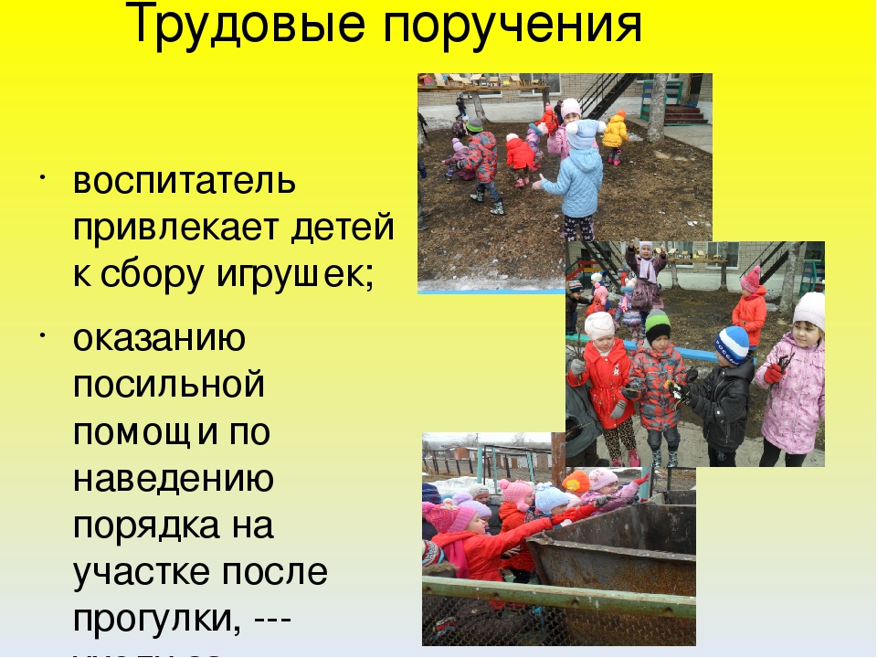 Презентация Реализация прогулочной карты с детьми старшего возраста