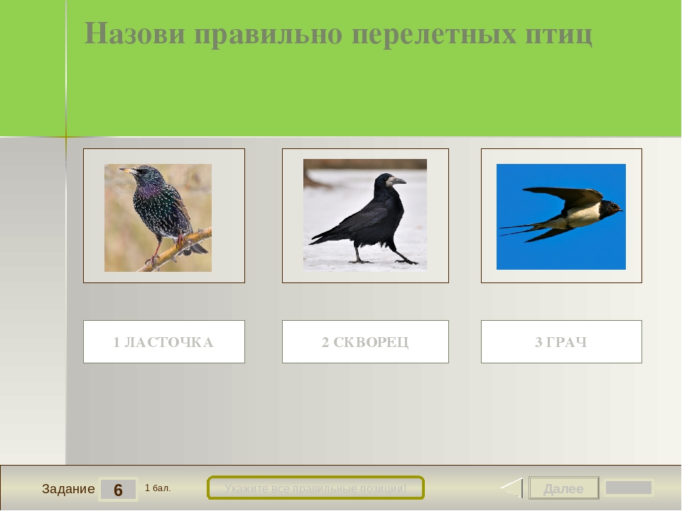 Тест по ознакомлению с природой "Весна" для детей старшего дошкольного возраста.