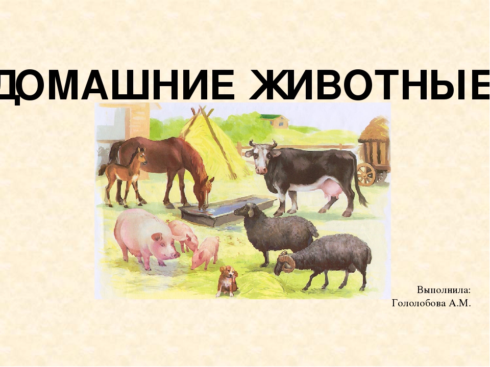 Презентация для дошкольников "Домашние животные"