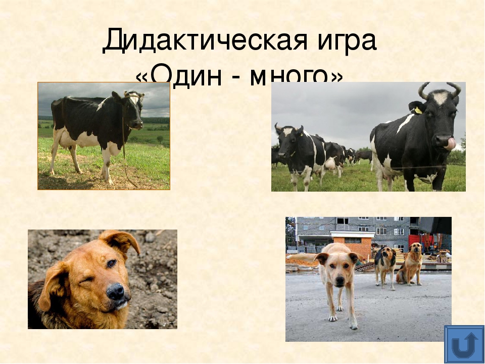 Презентация для дошкольников "Домашние животные"