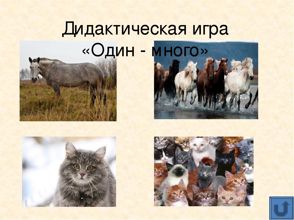 Презентация для дошкольников "Домашние животные"