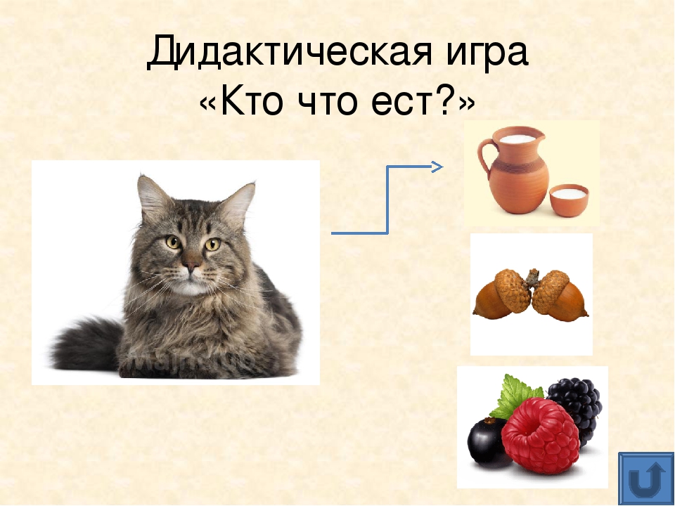 Презентация для дошкольников "Домашние животные"