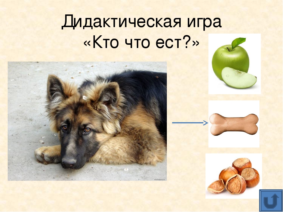 Презентация для дошкольников "Домашние животные"