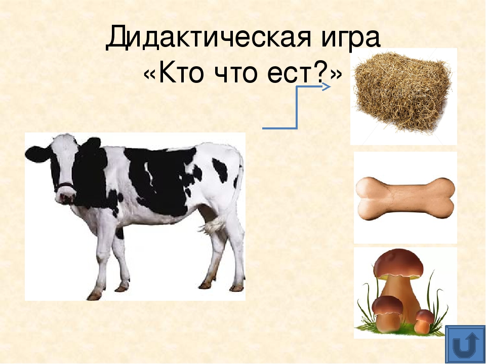 Презентация для дошкольников "Домашние животные"