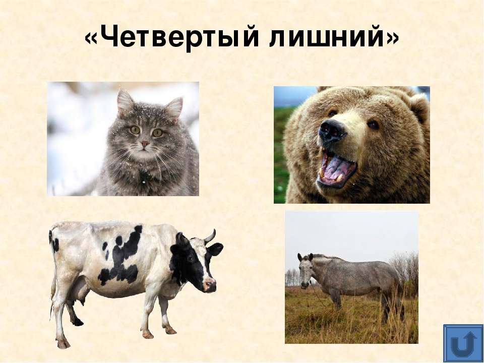 Презентация для дошкольников "Домашние животные"