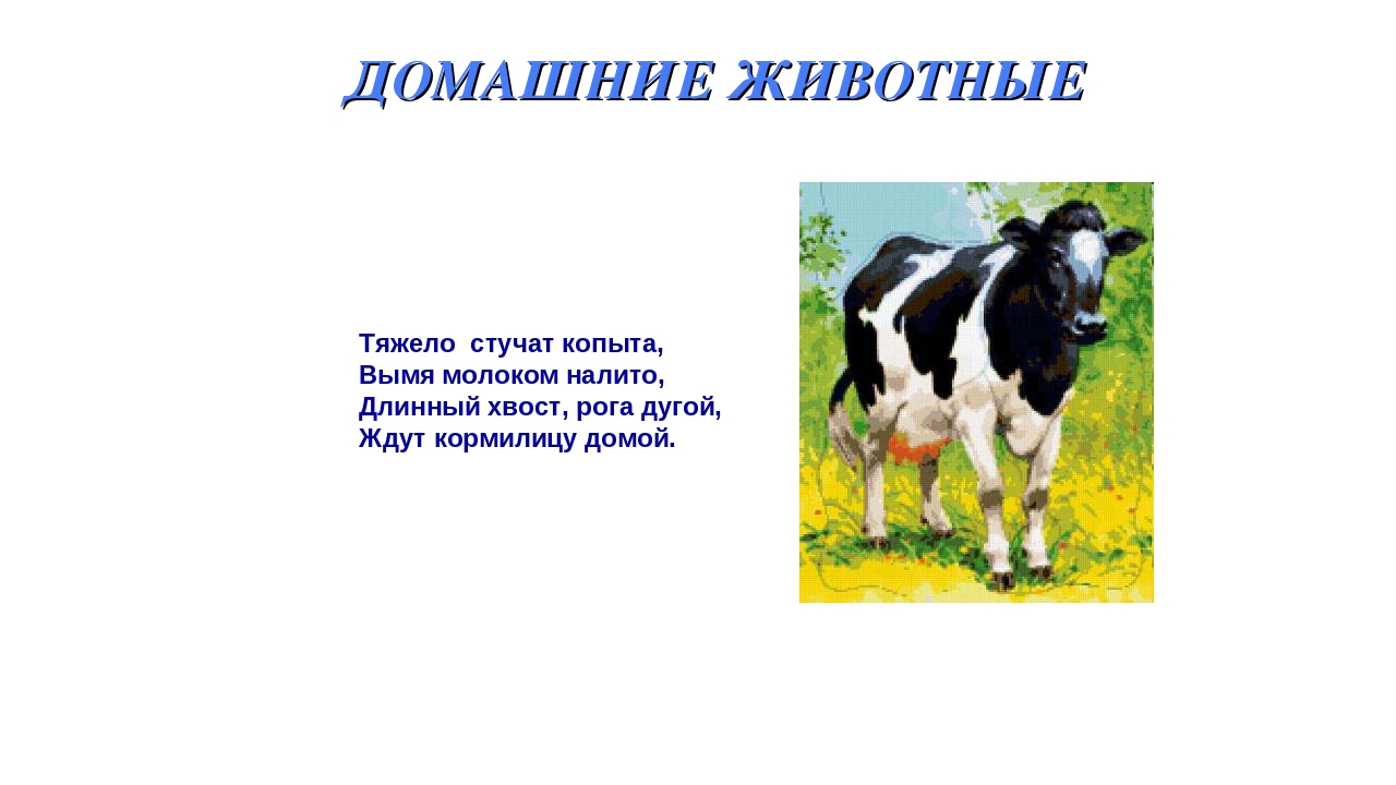 Презентация на тему: «Дикие и домашние животные».