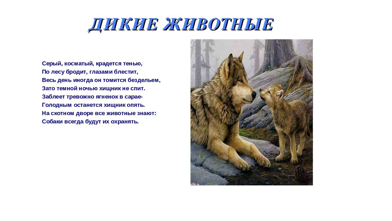 Презентация на тему: «Дикие и домашние животные».