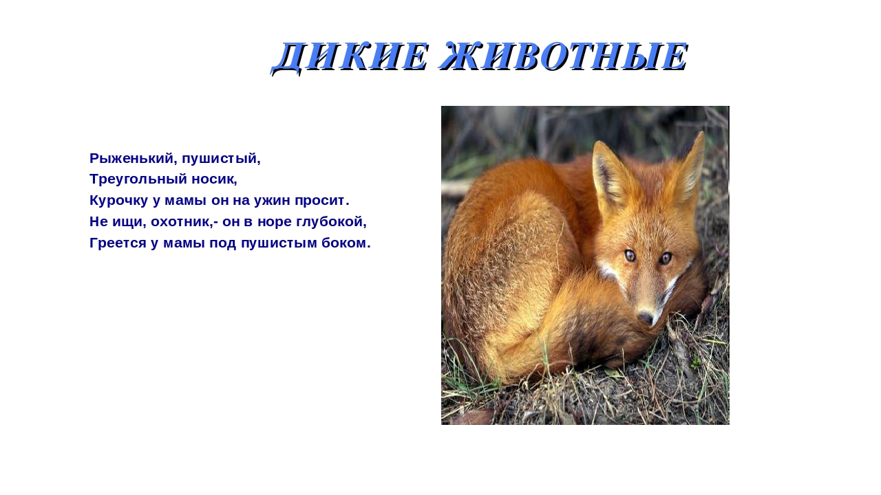 Презентация на тему: «Дикие и домашние животные».