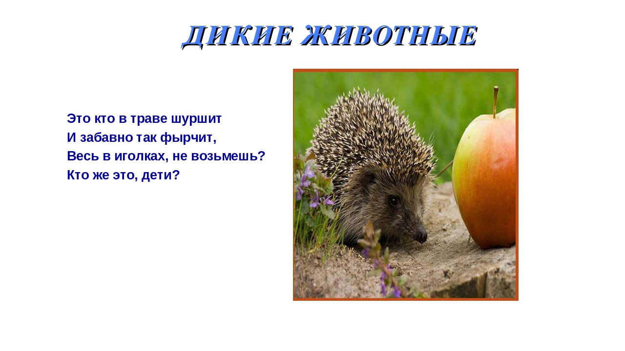 Презентация на тему: «Дикие и домашние животные».