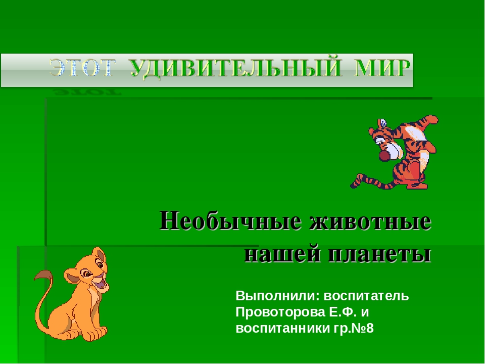 Презентация на тему:"Необычные животные нашей планеты"