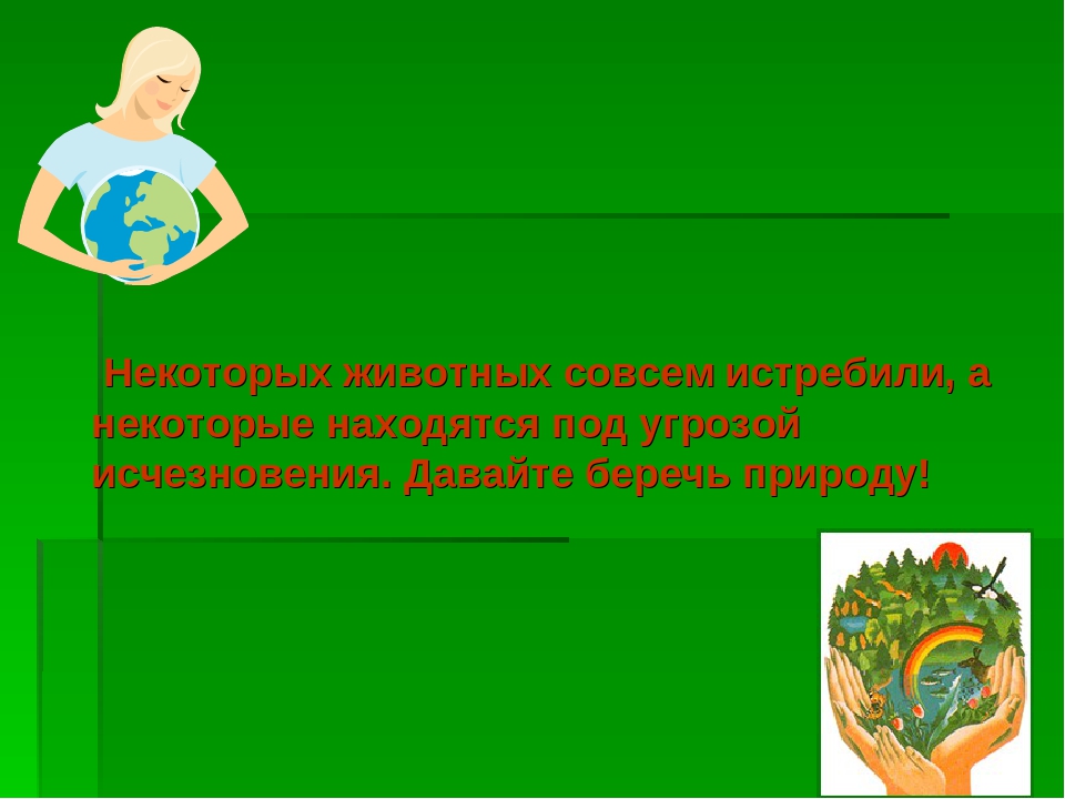 Презентация на тему:"Необычные животные нашей планеты"