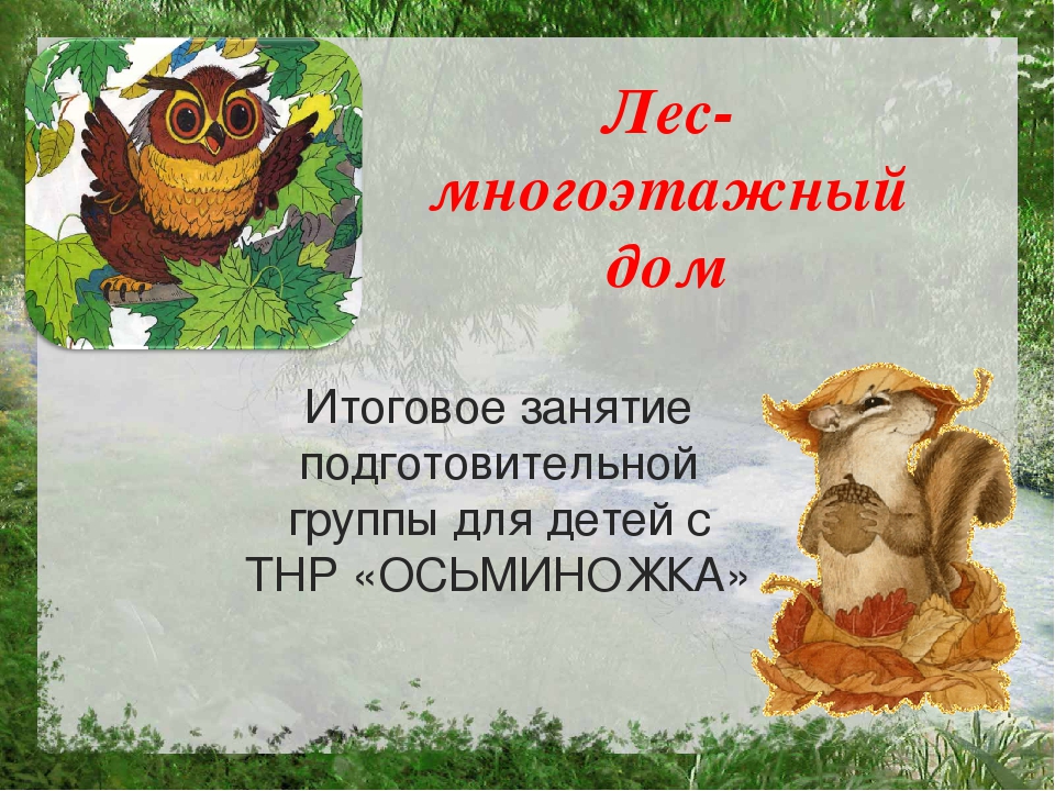 Презентация по познавательному развитию на тему "Лес"