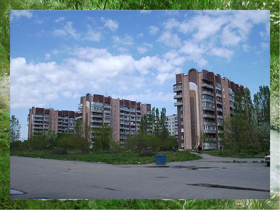 Презентация по познавательному развитию на тему "Лес"