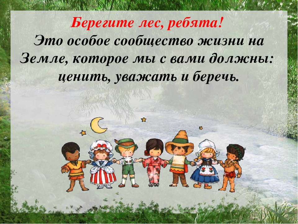 Презентация по познавательному развитию на тему "Лес"
