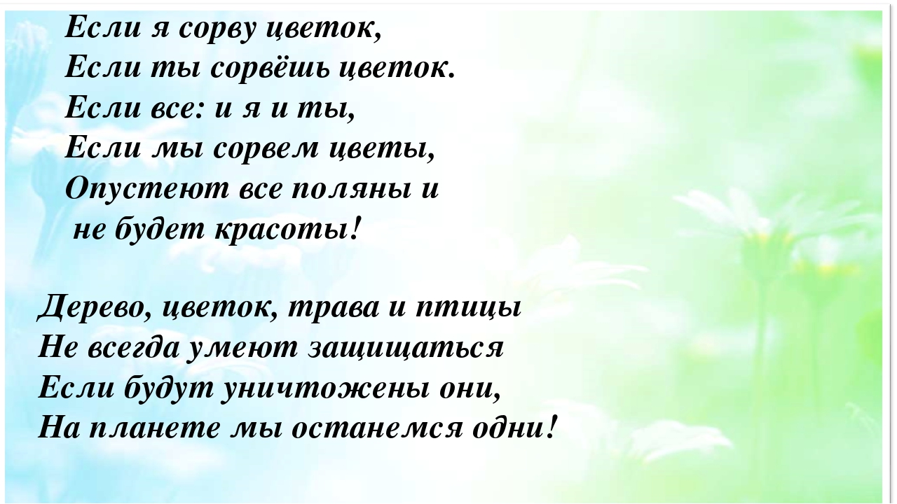Презентация на тему: «Весенние цветы»