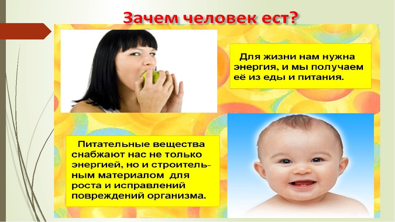Презентация на тему: «Школа правильного питания»