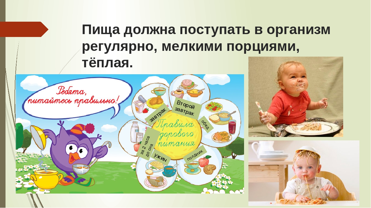 Презентация на тему: «Школа правильного питания»