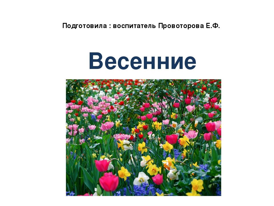 Презентация на тему: «Весенние цветы»