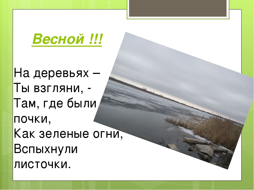 Презентация на тему:" Красоты Весны"