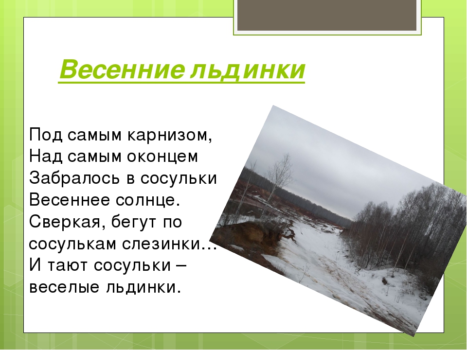 Презентация на тему:" Красоты Весны"
