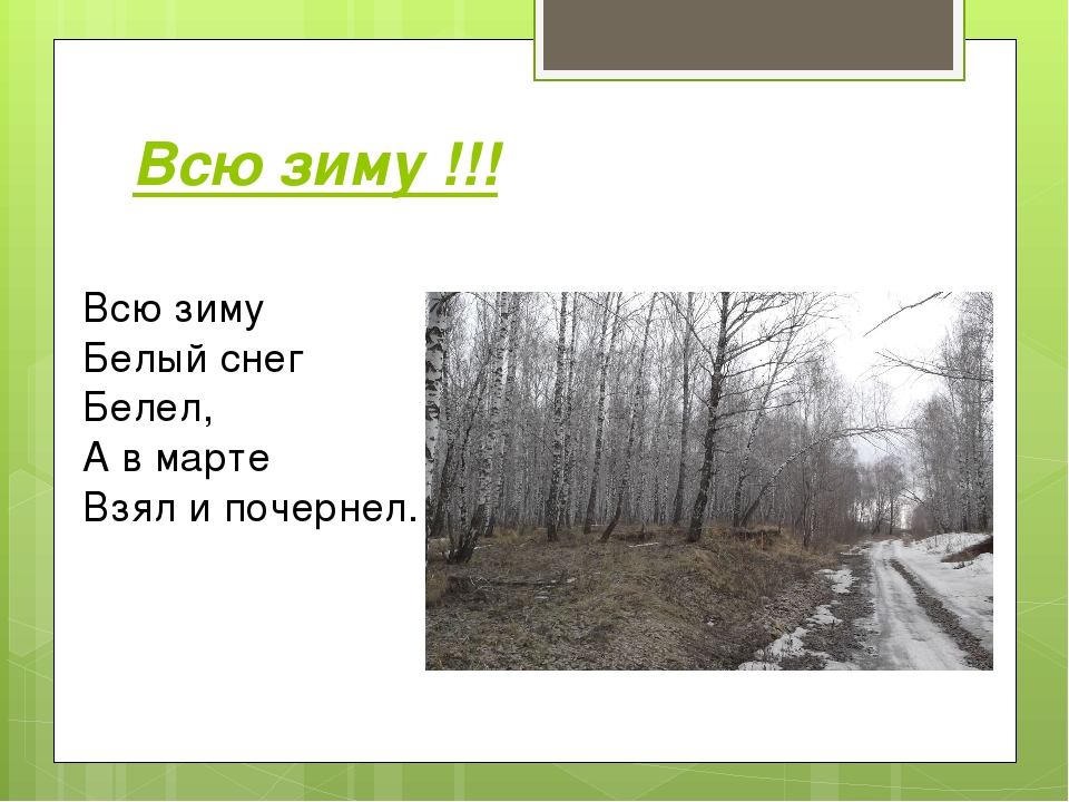 Презентация на тему:" Красоты Весны"