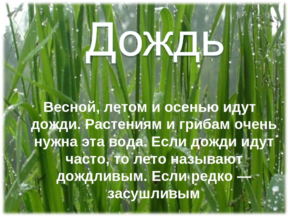 Презентация на тему: «Вода»
