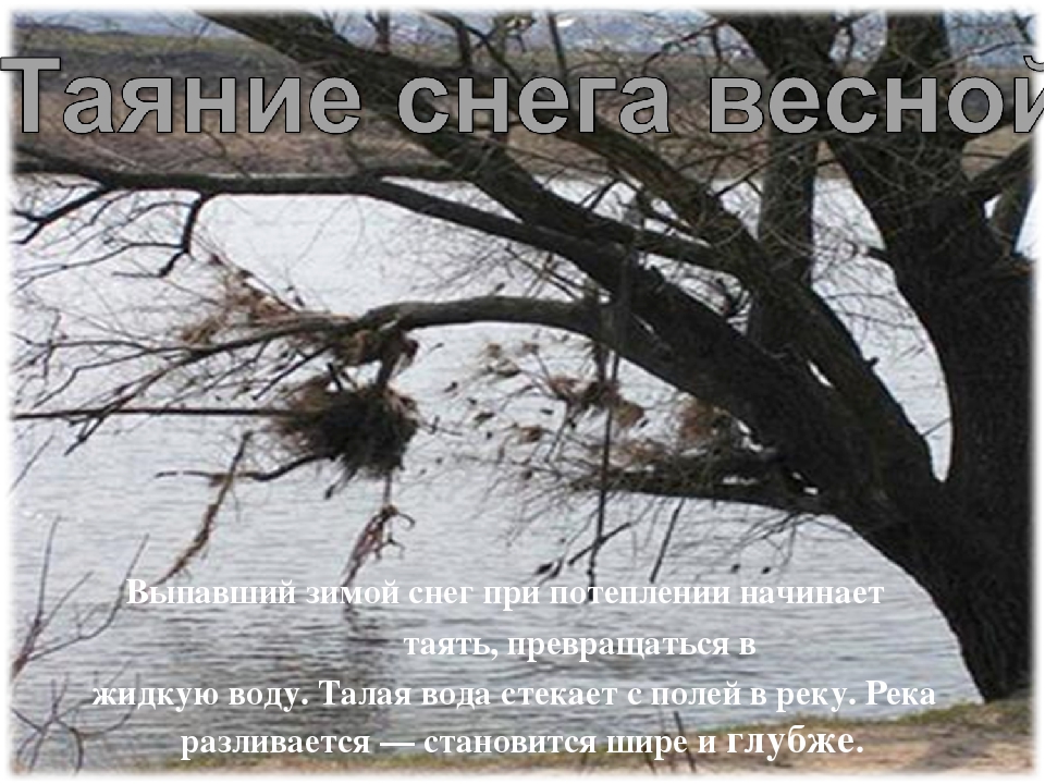 Презентация на тему: «Вода»