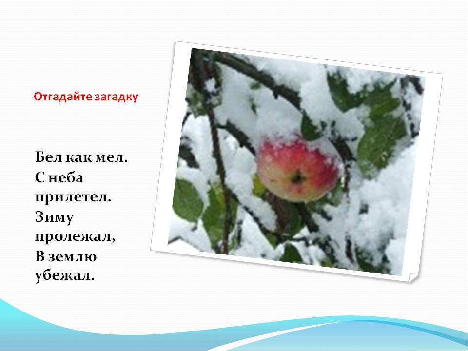Презентация на тему: «Вода»