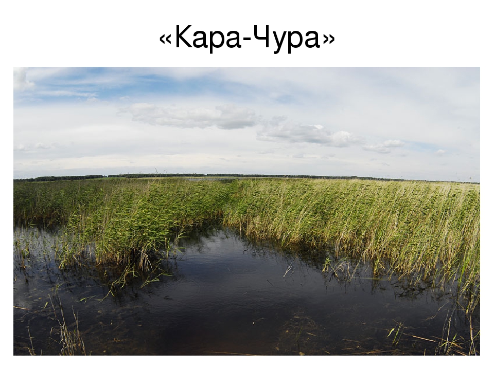Презентация на тему:"Красоты озер Урала"