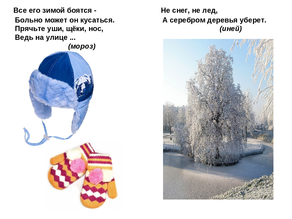 Книжка-малышки : «ПРИРОДА ЗИМОЙ В ЗАГАДКАХ».
