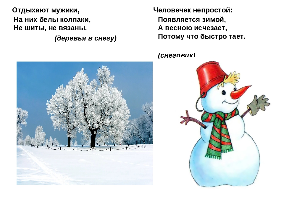 Книжка-малышки : «ПРИРОДА ЗИМОЙ В ЗАГАДКАХ».