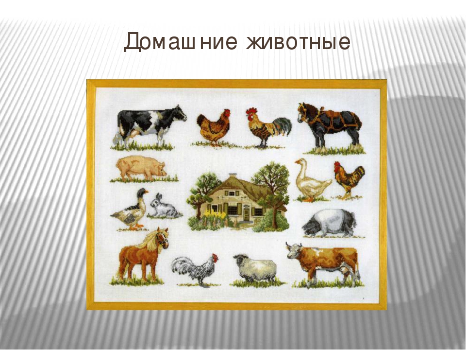 Презентация для детей младшего дошкольного возраста "Домашние животные"