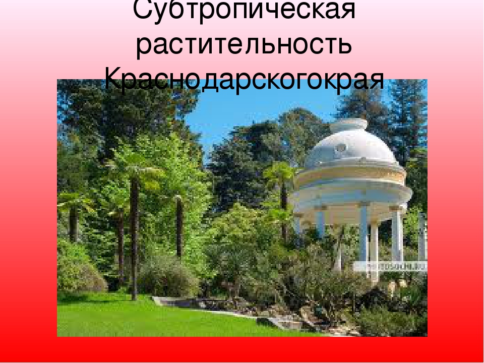 Презентация "Моя Родина Россия"
