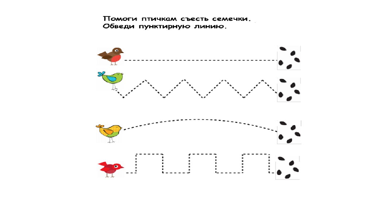 Продолжи новую игру. Перелетные птицы задания для детей 3-4 лет. Дорожки для дошкольников. Пунктирные линии для детей. Птицы задания для дошкольников.