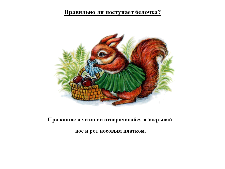 Проект на тему: «Правила поведения в обществе»