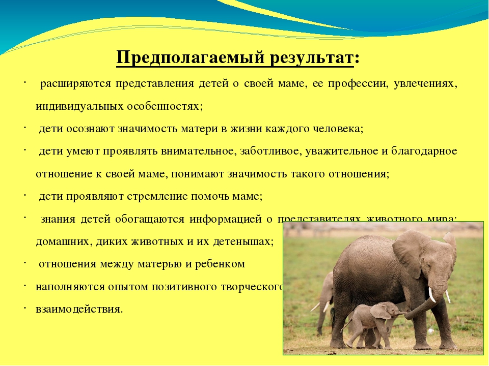 Презентация проекта "Мамочка моя"