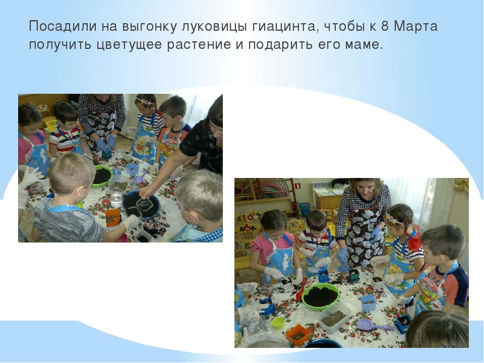 Презентация познавательно-творческого проекта "Часовые весны"