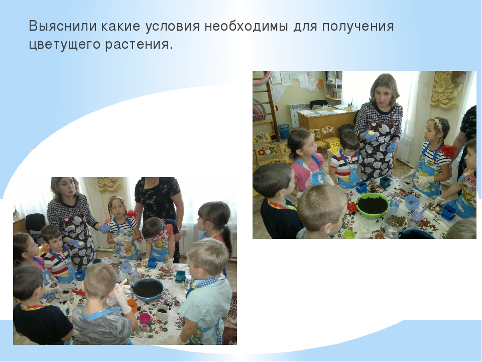 Презентация познавательно-творческого проекта "Часовые весны"