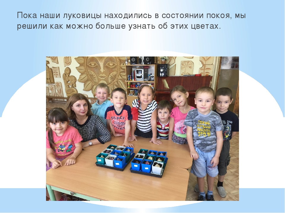 Презентация познавательно-творческого проекта "Часовые весны"