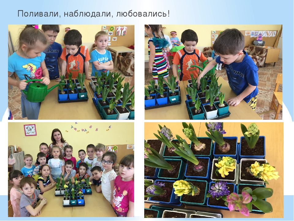 Презентация познавательно-творческого проекта "Часовые весны"