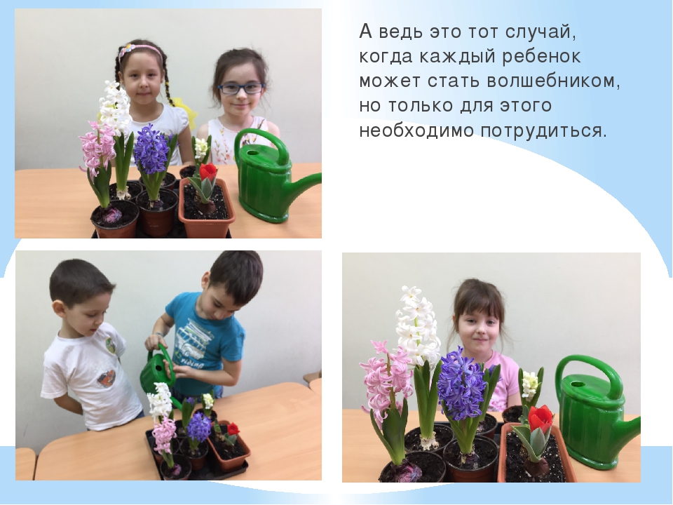Презентация познавательно-творческого проекта "Часовые весны"