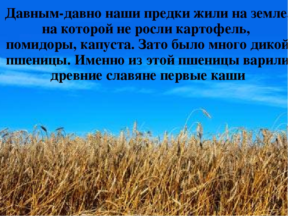 Проект "Каша - радость наша".Старший дошкольный возраст.