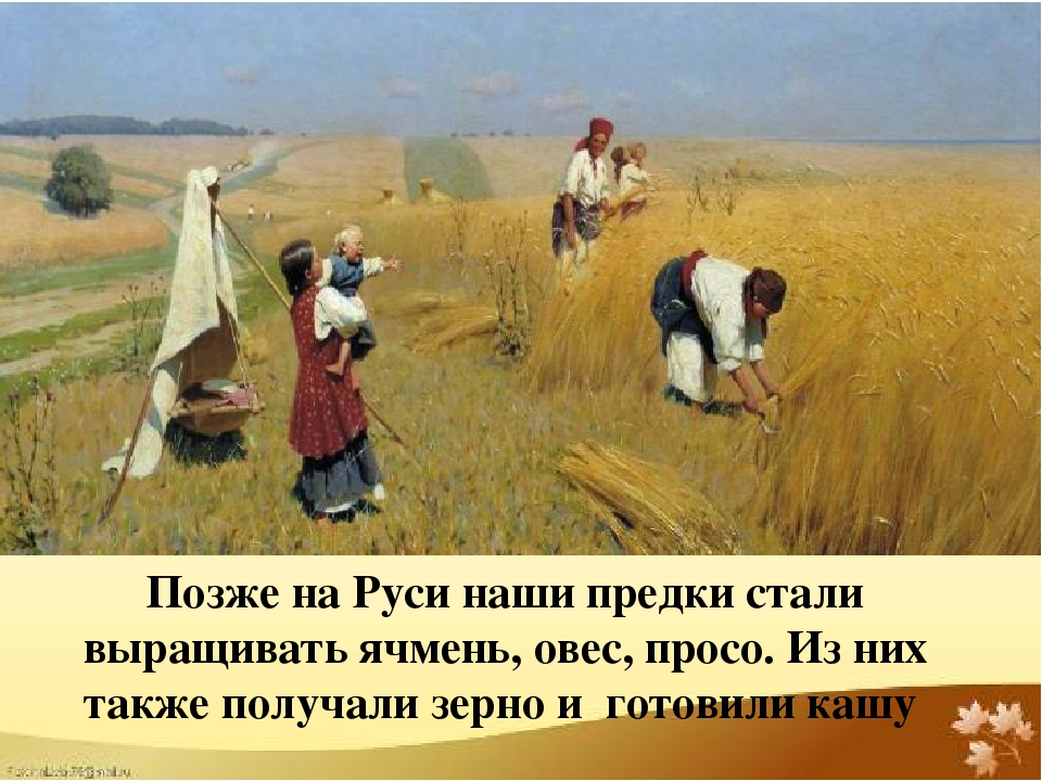 Проект "Каша - радость наша".Старший дошкольный возраст.