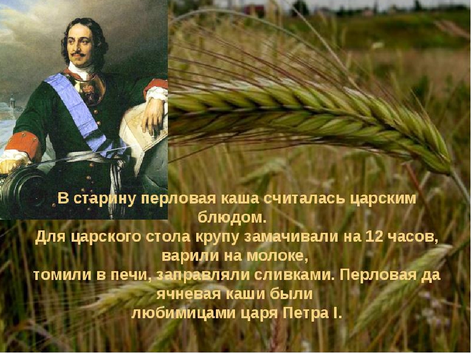 Проект "Каша - радость наша".Старший дошкольный возраст.
