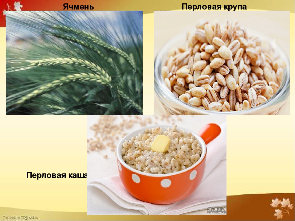 Проект "Каша - радость наша".Старший дошкольный возраст.