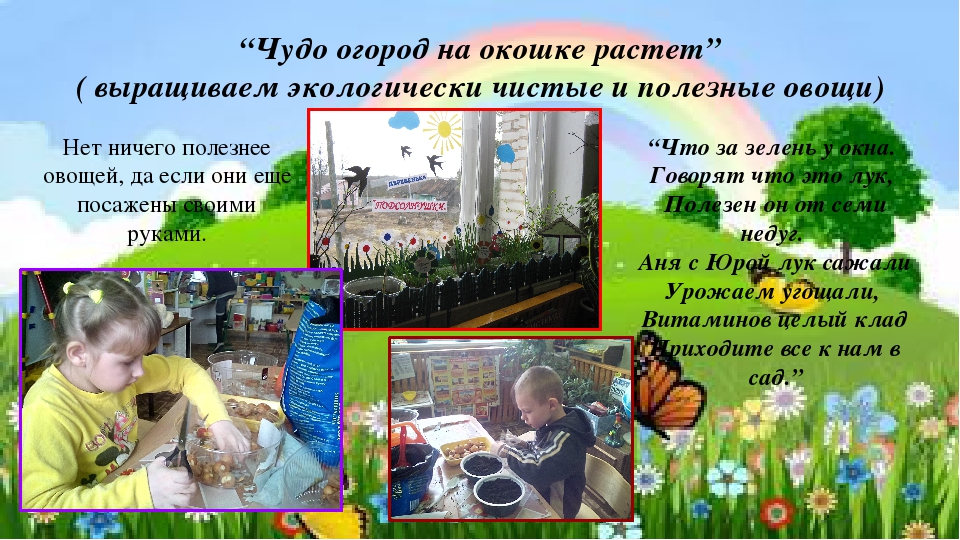 Экологическая мини - презентация.