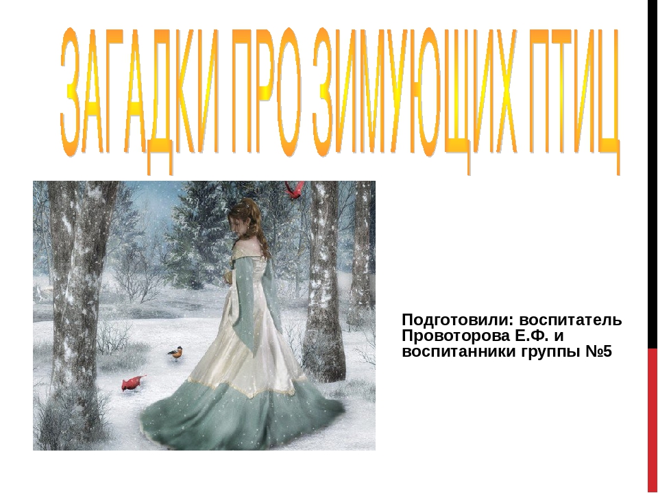 Картотека на тему: "Загадки про зимующих птиц"