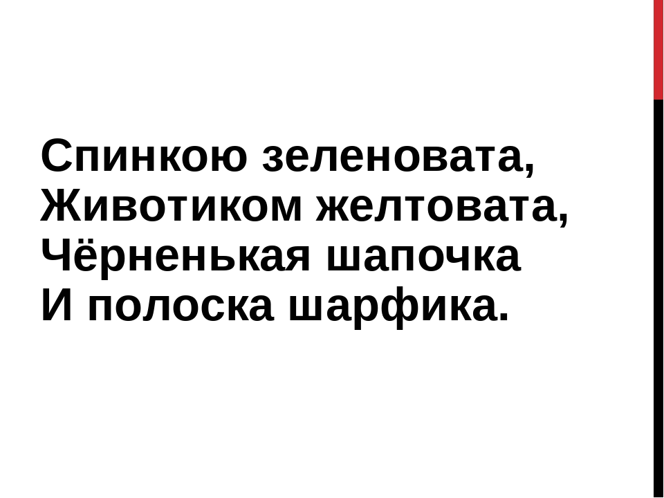 Картотека на тему: "Загадки про зимующих птиц"